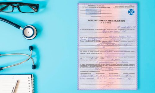 Справка Ф1 Справка Ф1