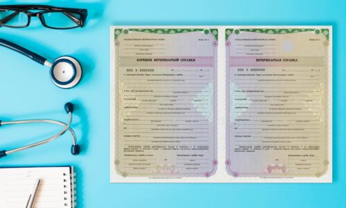 Справка Ф2 Справка Ф2