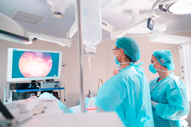 услуги оперативной андрологии 