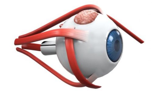 Аппаратная тренировка глаза